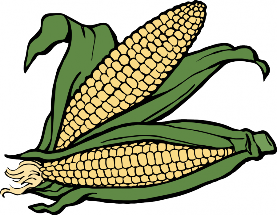 corn clipart different vegetable