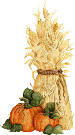 corn clipart dried corn