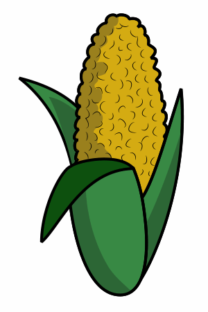 Drawing cartoon fabian and. Corn clipart easy