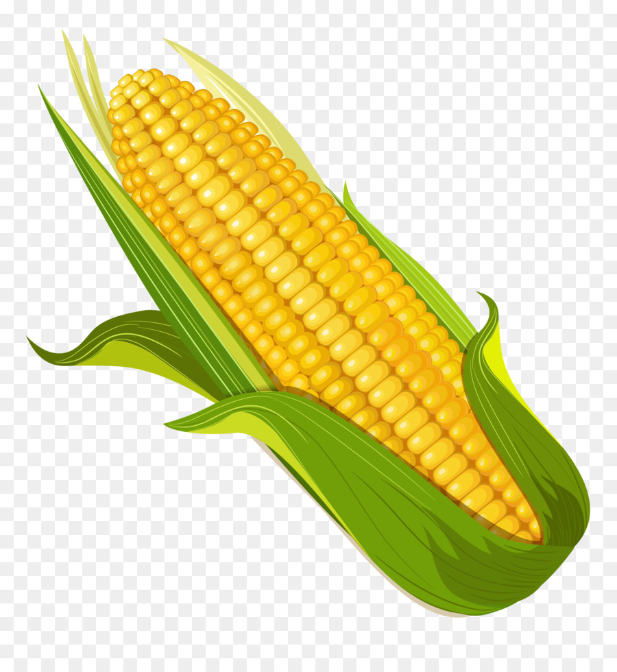 corn clipart elote