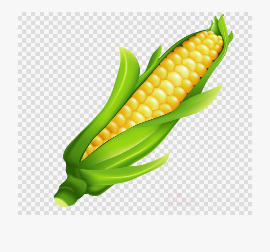 crops clipart corn mexican