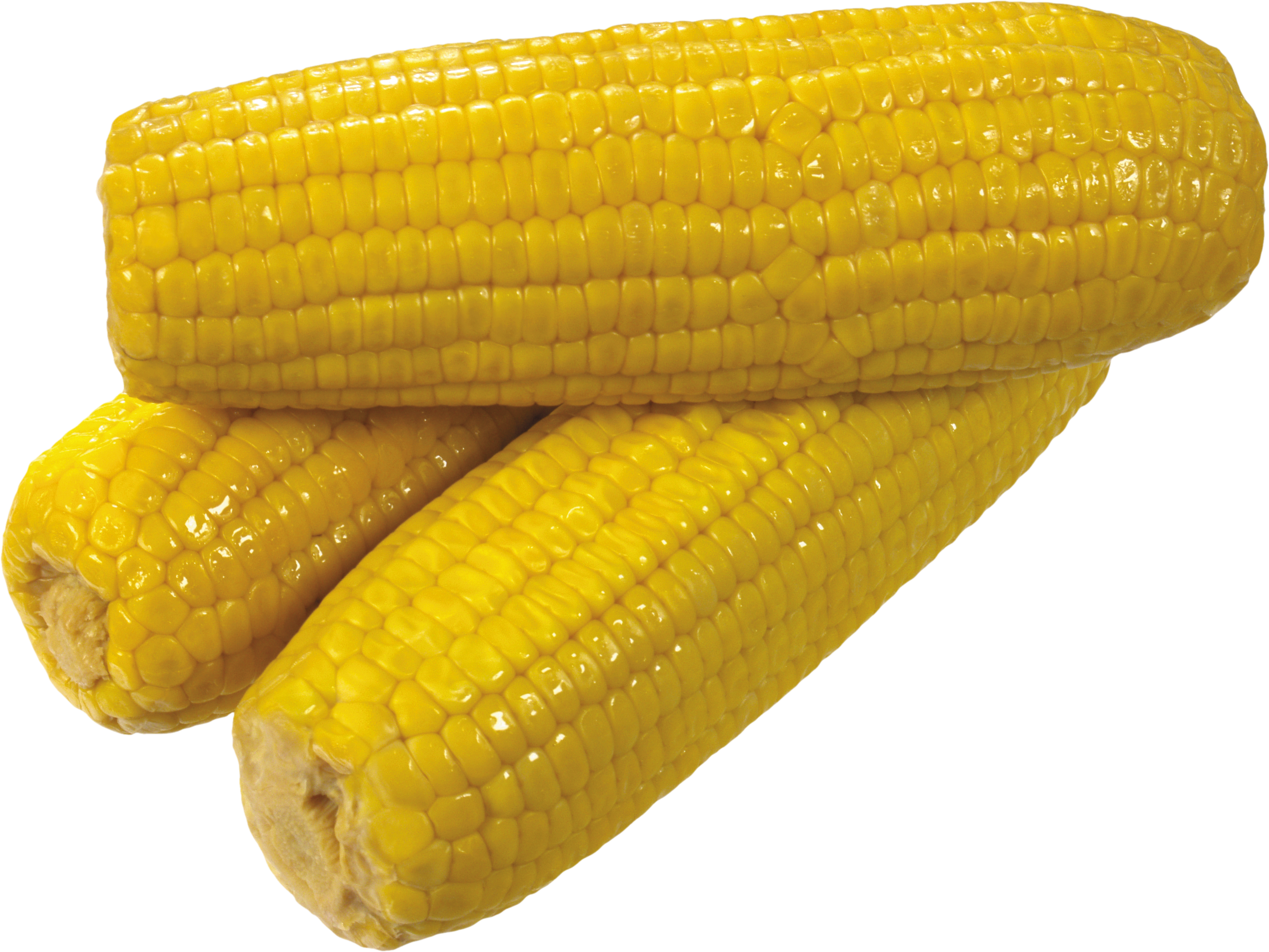 corn clipart farm food