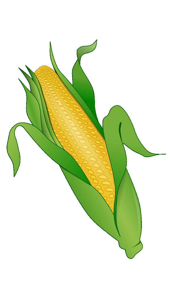 corn clipart fruit vegetable