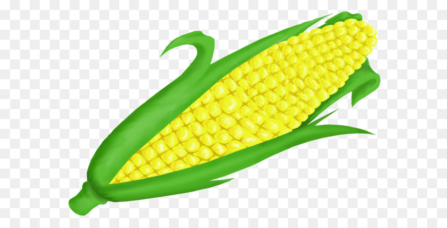 corn clipart fruit vegetable