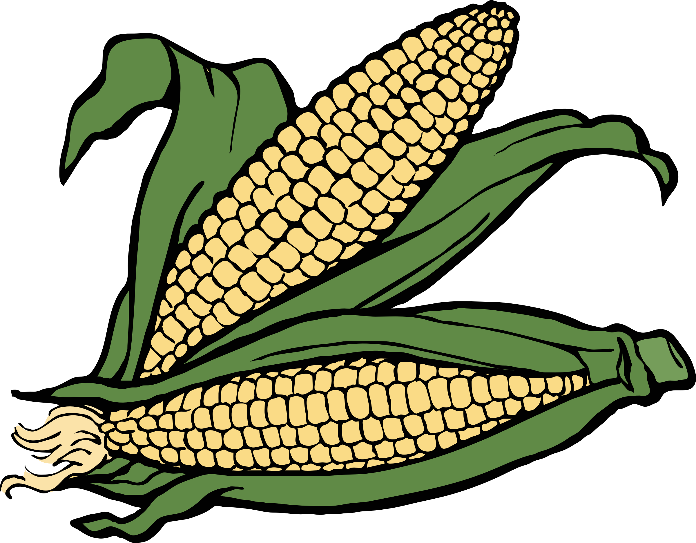 cornucopia clipart corn