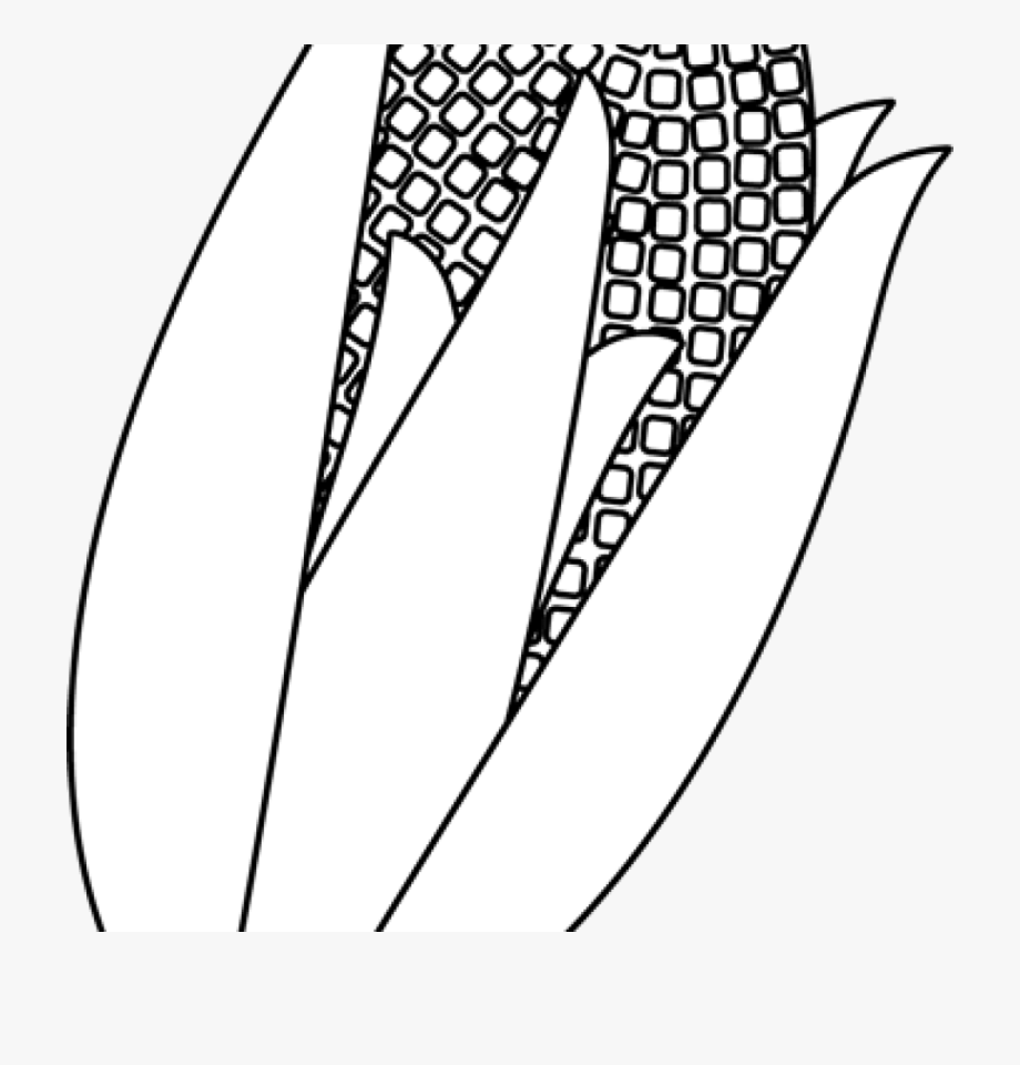Corn clipart illustration. Black and white free