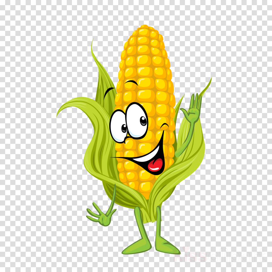 Cartoon . Corn clipart illustration