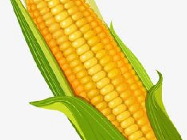 Corn clipart individual vegetable. Free download clip art