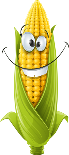 corn clipart legume