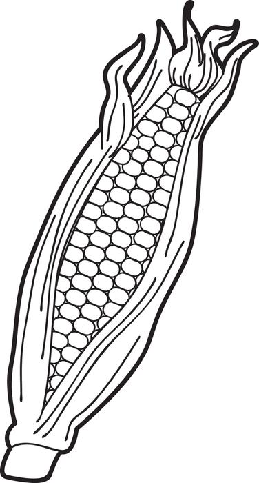 corn clipart line art