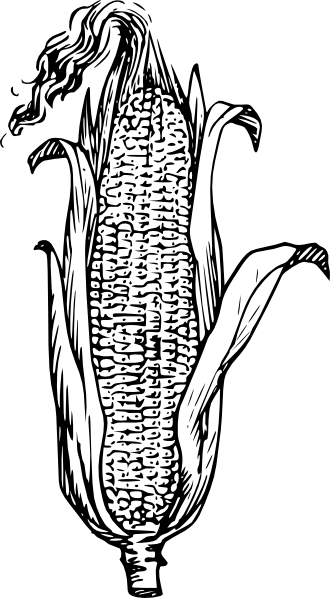 Clip vector panda free. Corn clipart line art