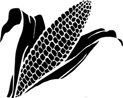Kernel black and white. Corn clipart outline