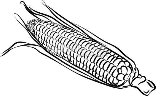 Corn clipart outline. Free black and white