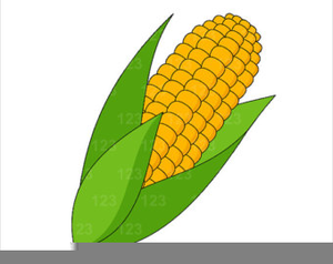 corn clipart pilgrim