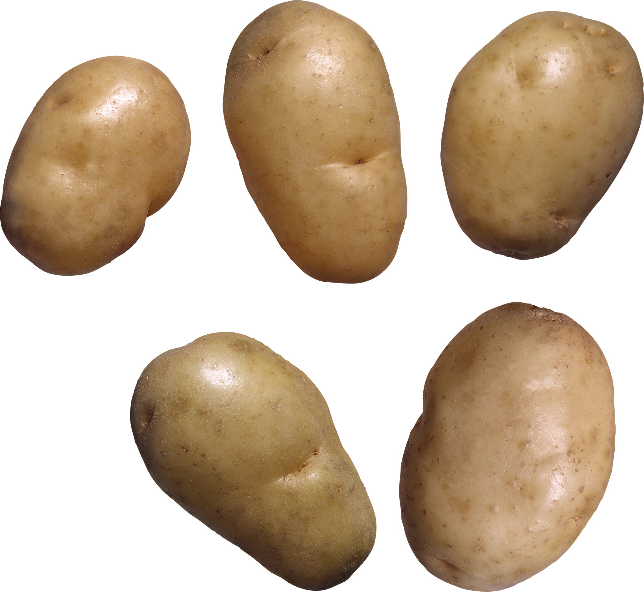 Potato clipart high resolution. Fifteen isolated stock photo