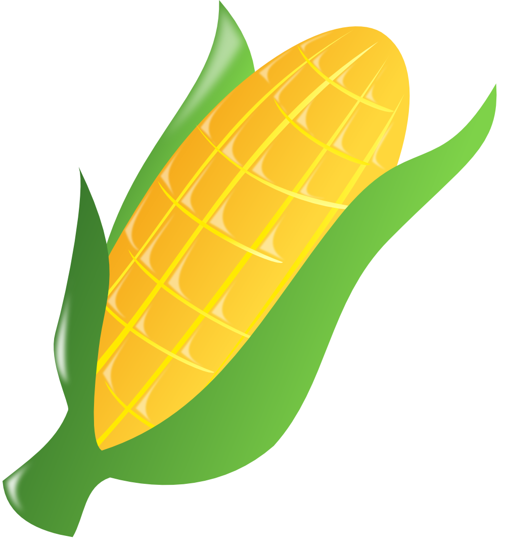 corn clipart printable