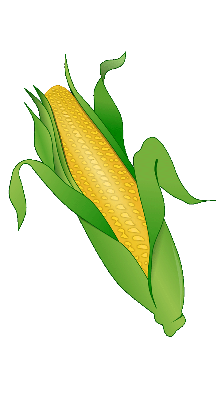 Corn clipart printable, Corn printable Transparent FREE for download on