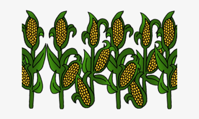 corn clipart row corn