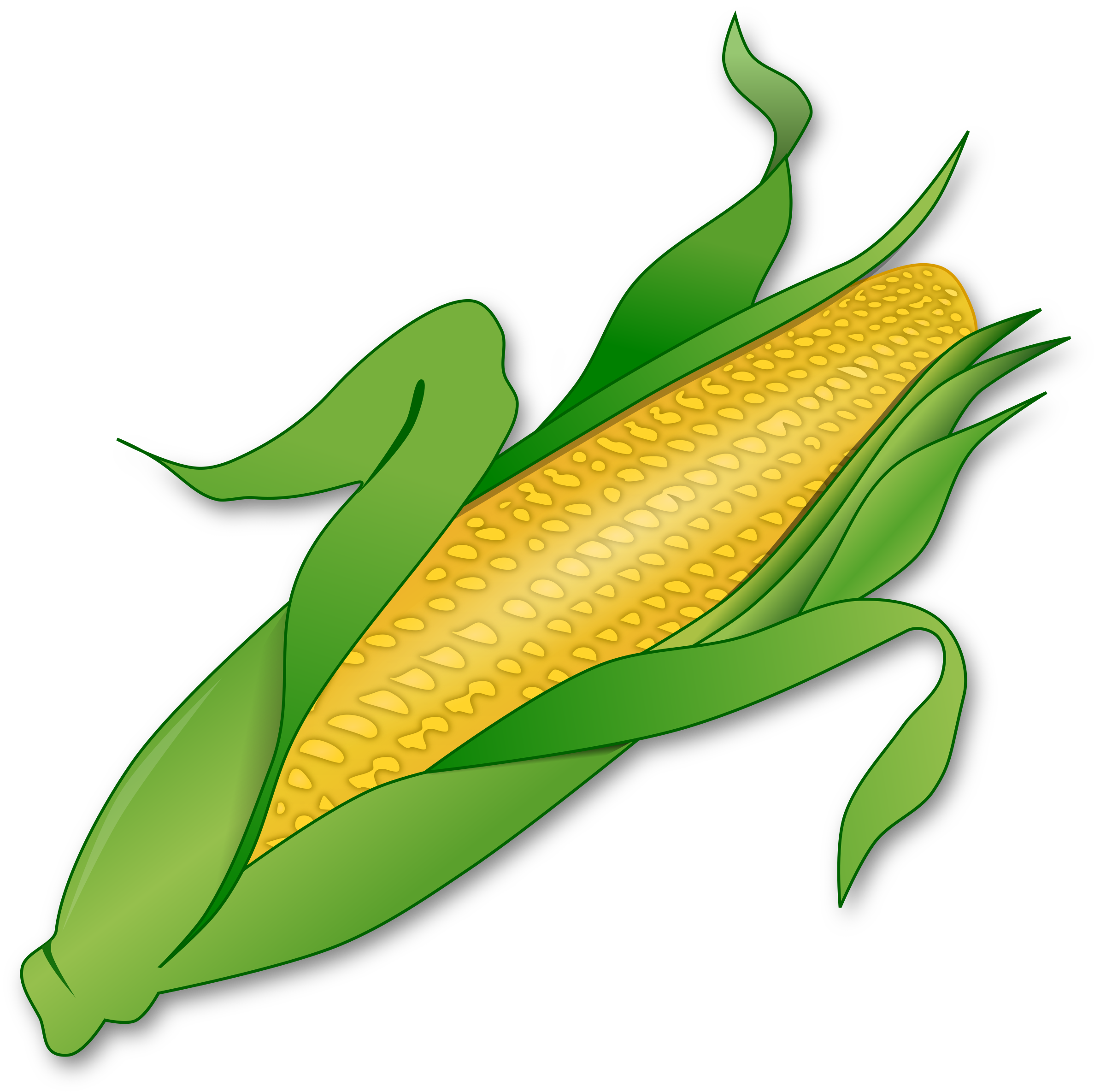 corn clipart seller