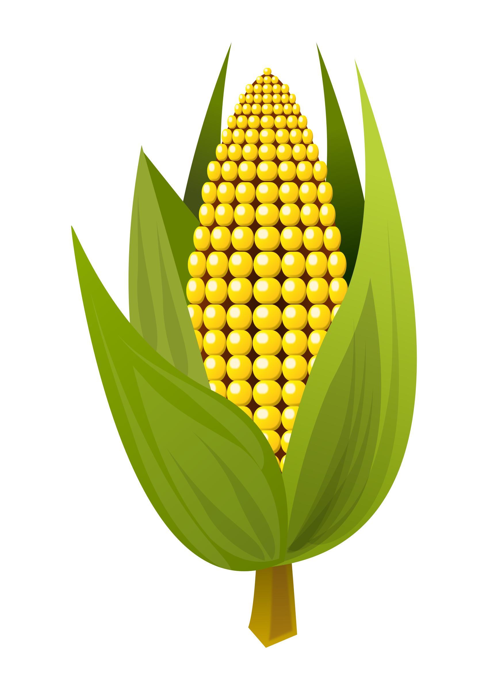 corn clipart seller