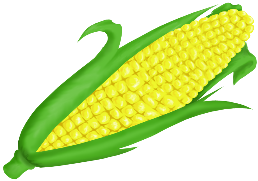 corn clipart single object