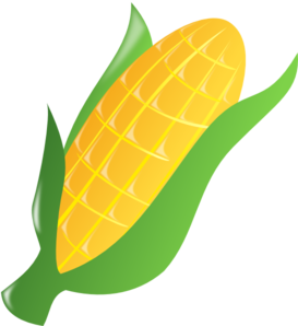 corn clipart small