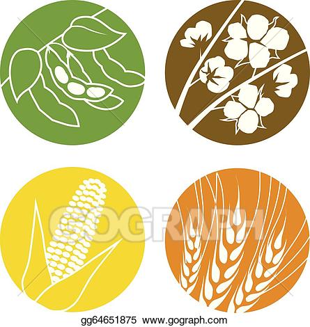 corn clipart soya bean