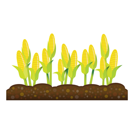 crops clipart drawing