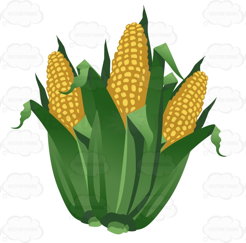 corn clipart thanksgiving