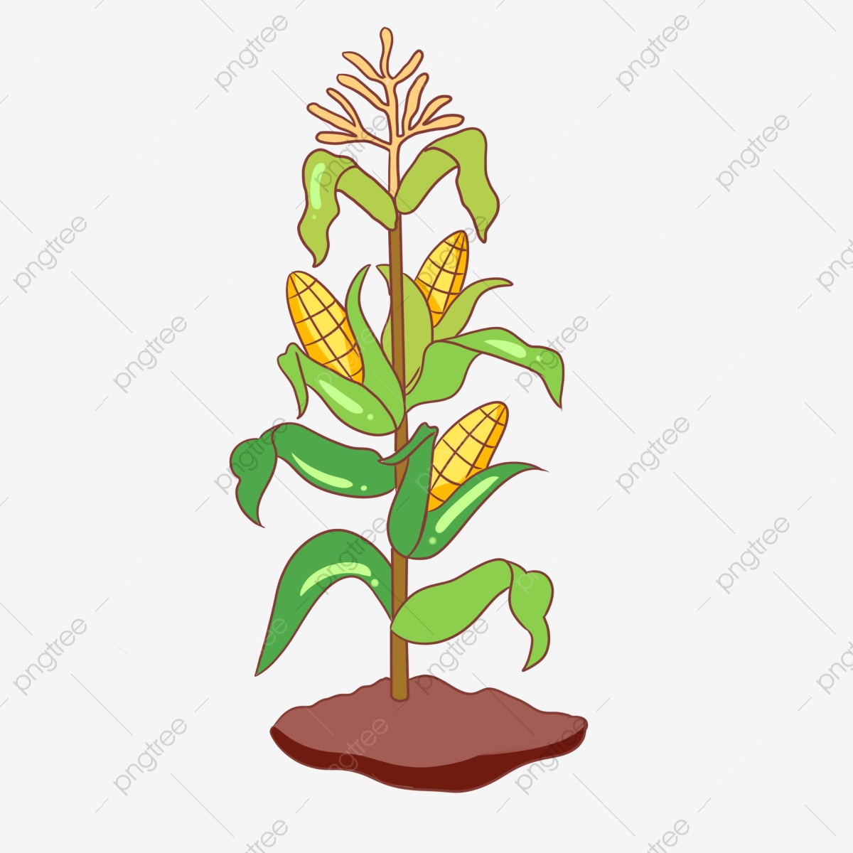 corn clipart tree