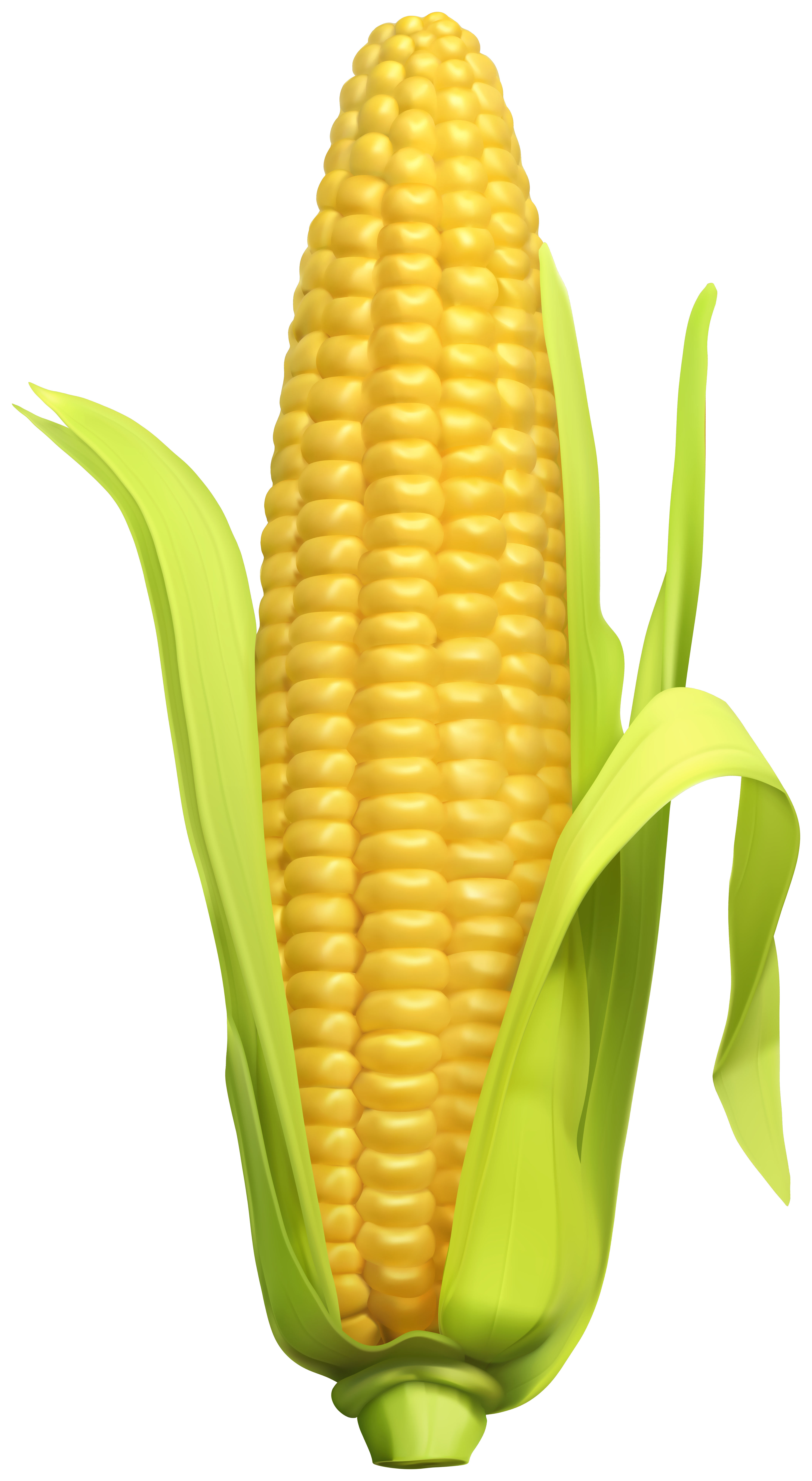 corn clipart vegitables