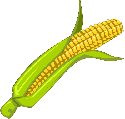 corn clipart vegtable