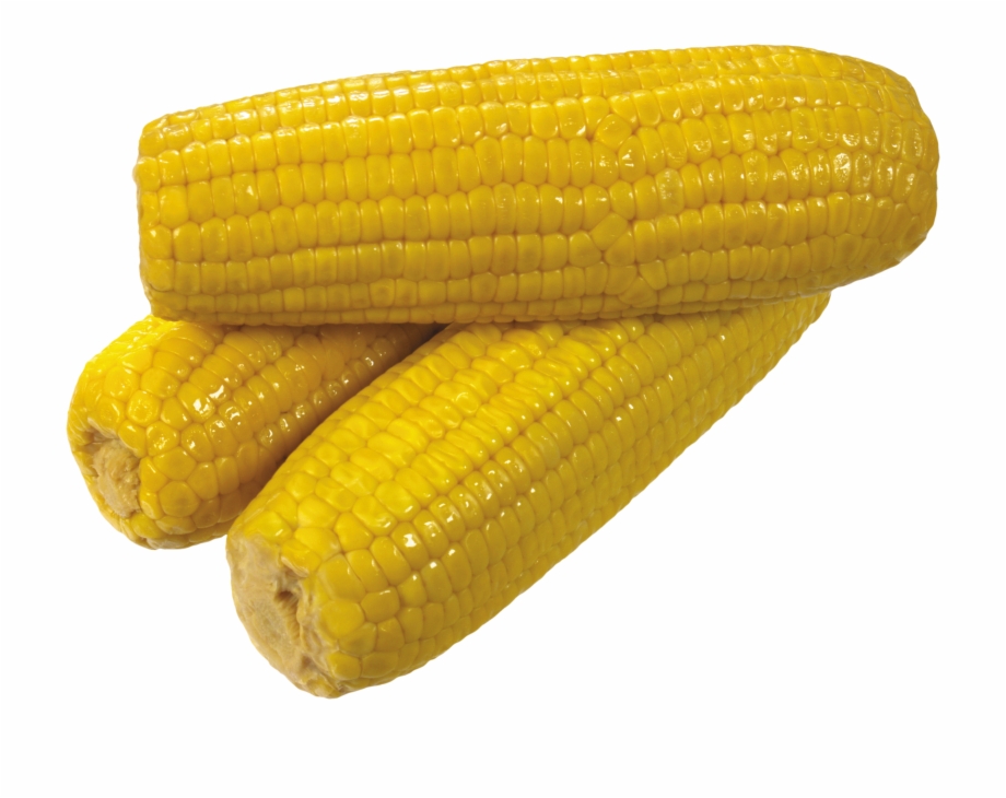 corn clipart yellow corn