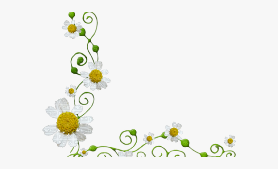 Daisies clipart yellow floral border. Flowers borders daisy flower
