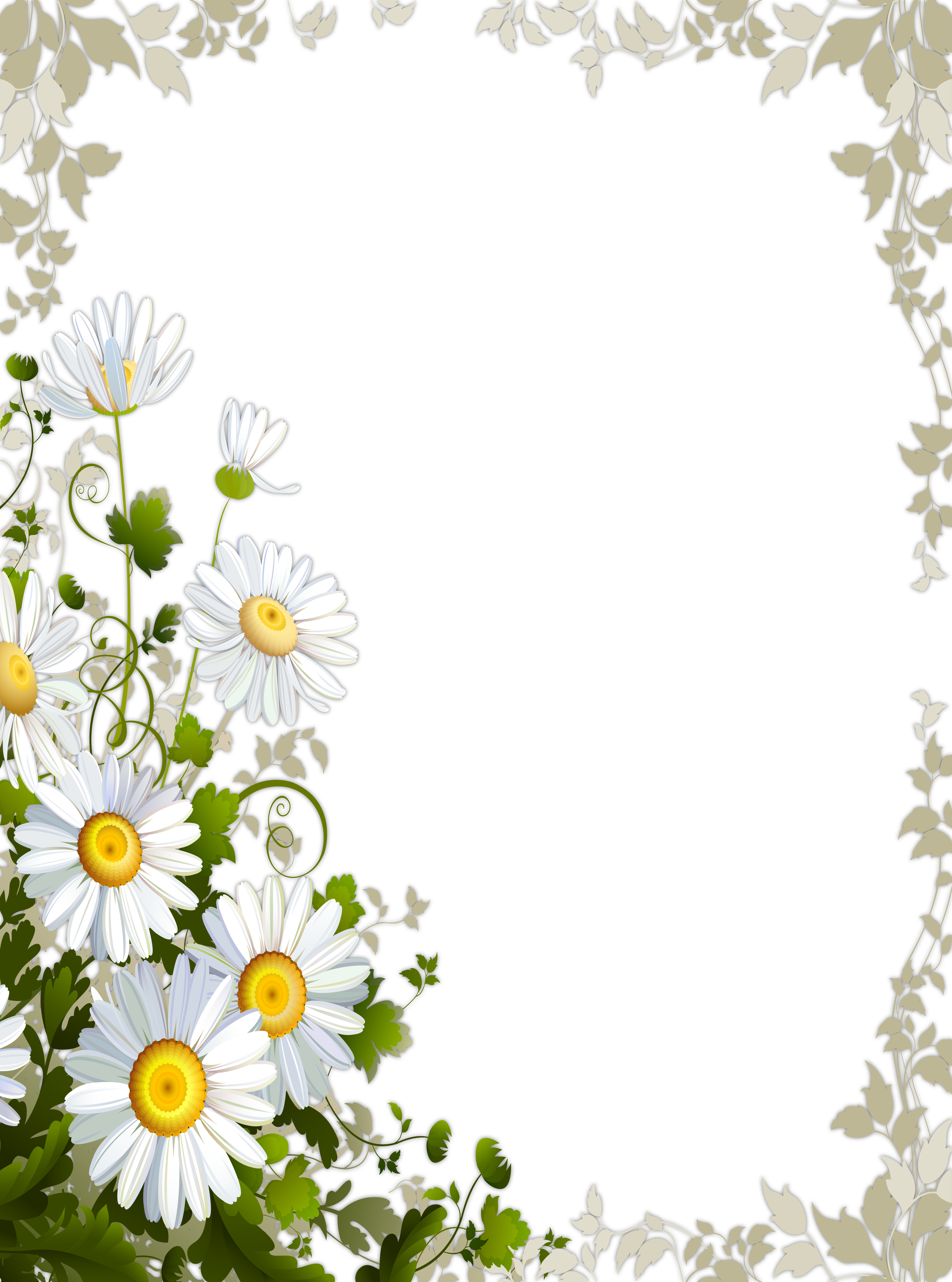 daisies clipart frame