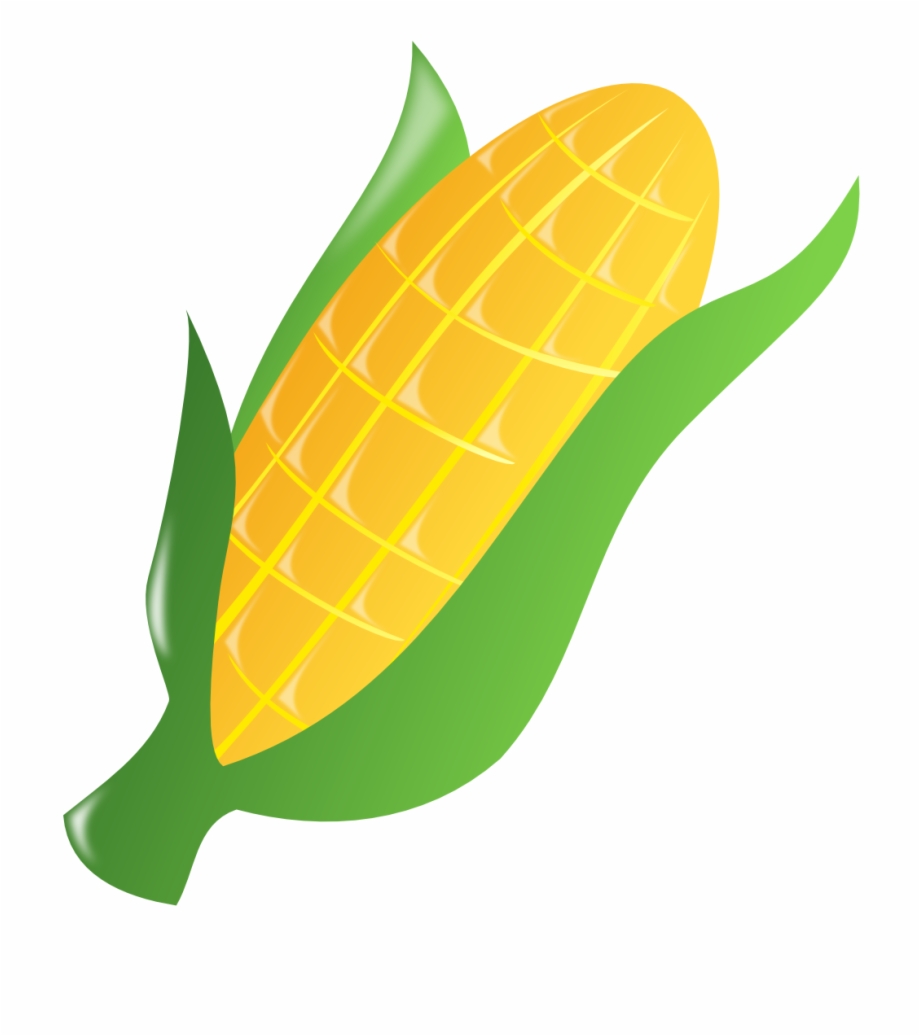 Cornucopia clipart corn, Cornucopia corn Transparent FREE for download ...