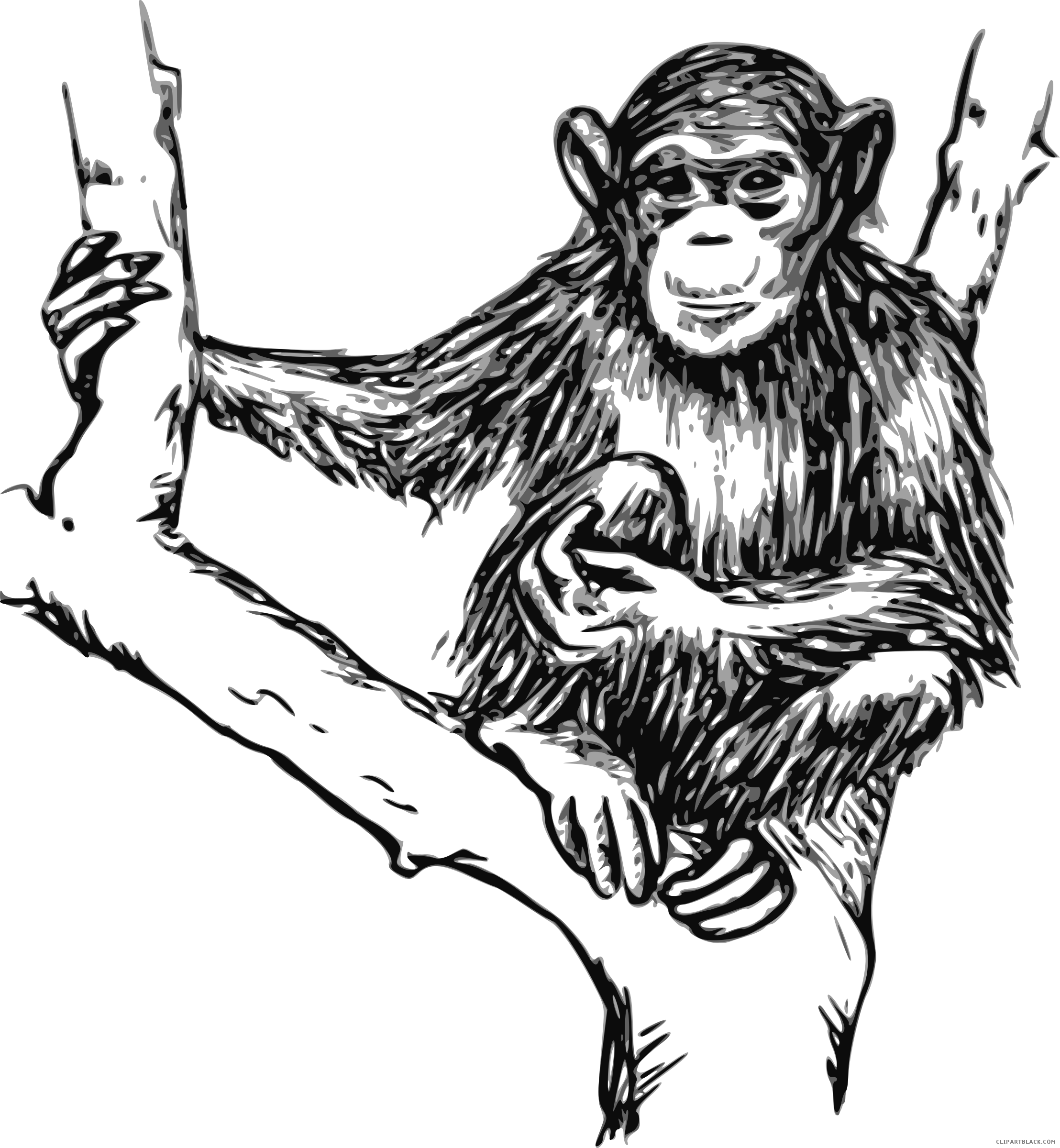 Chimpanzee animal free images. Grandfather clipart black and white