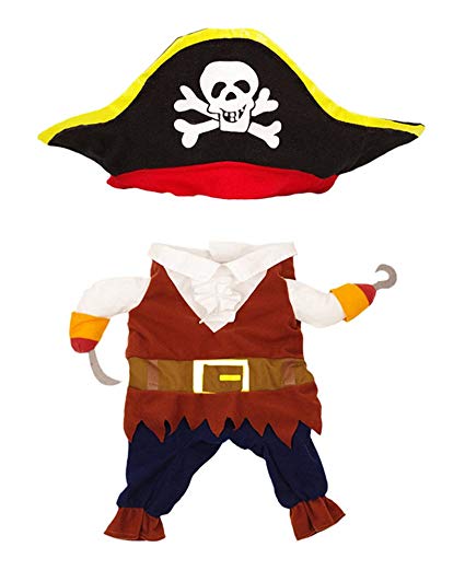 Topsung cool caribbean pet. Costume clipart pirate costume