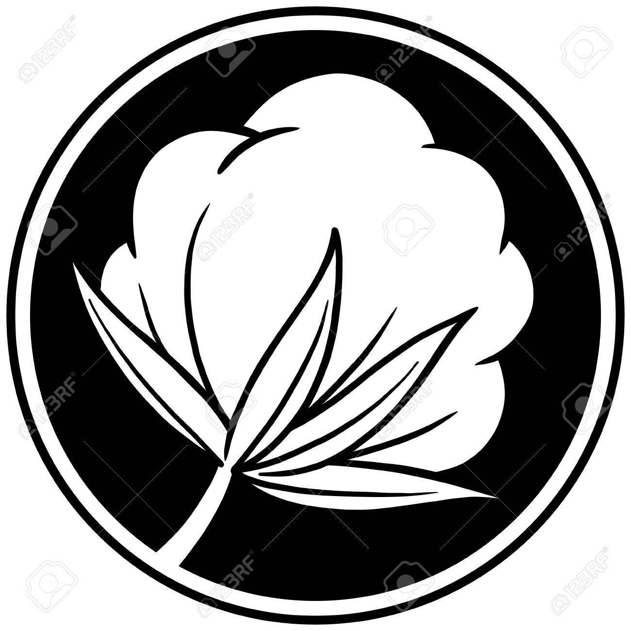 cotton clipart cotton boll