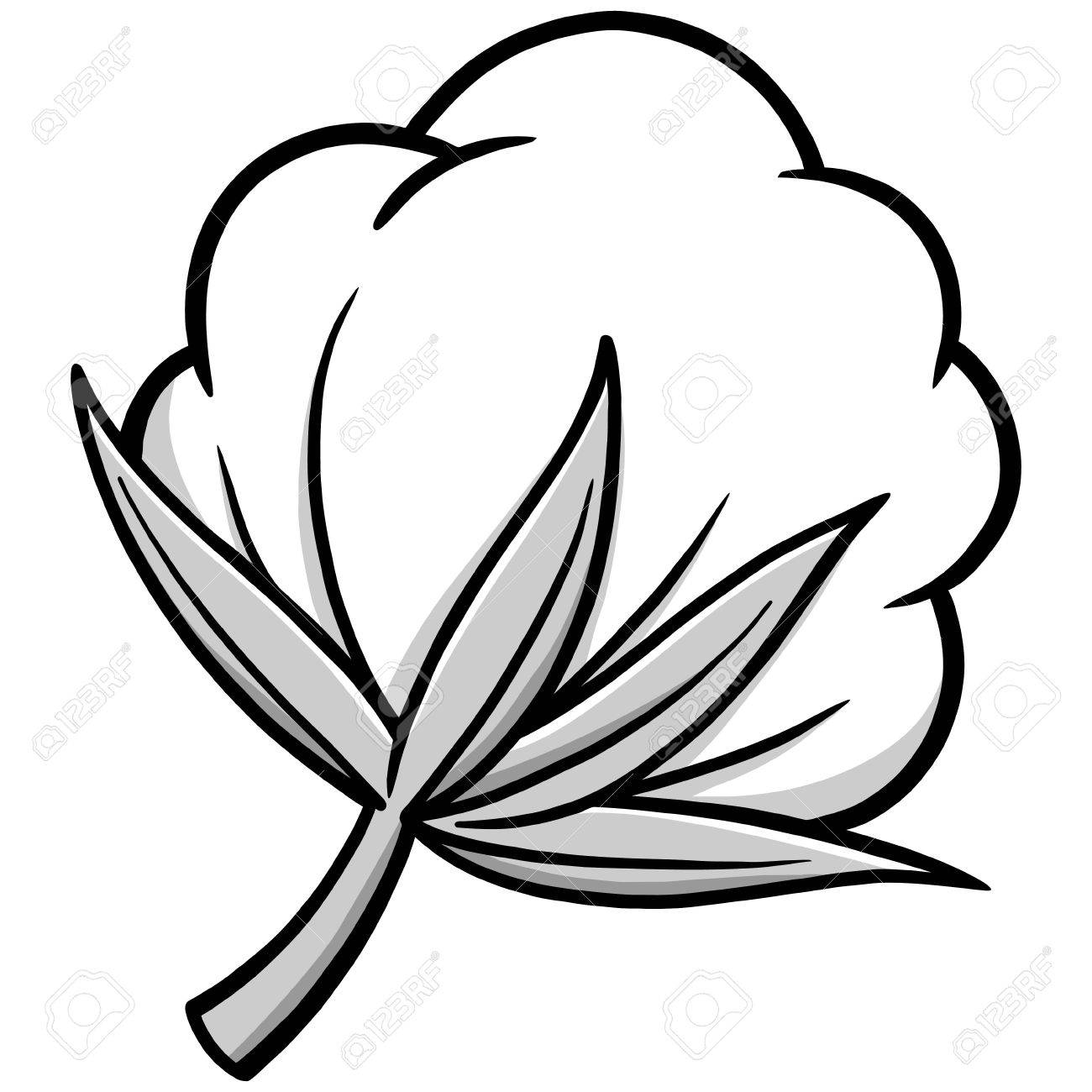 cotton clipart drawing