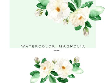 magnolia clipart watercolor