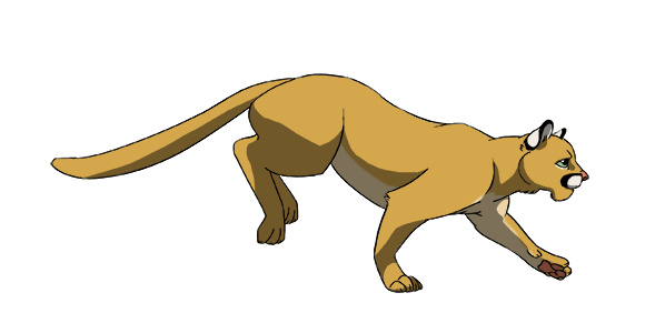 cougar clipart animated gif