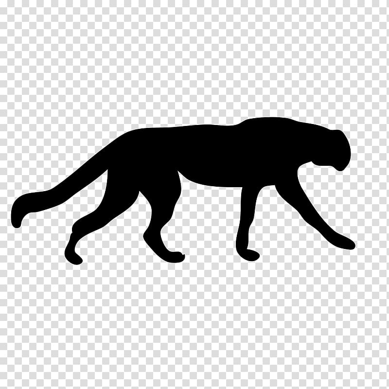 cougar clipart background