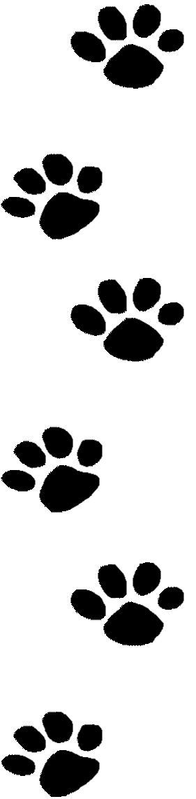 Wildcat clipart bearcat. Logo panda free images