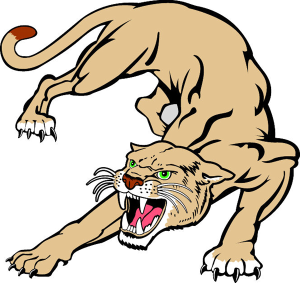 Cougar clipart cartoon. Mascot free download best