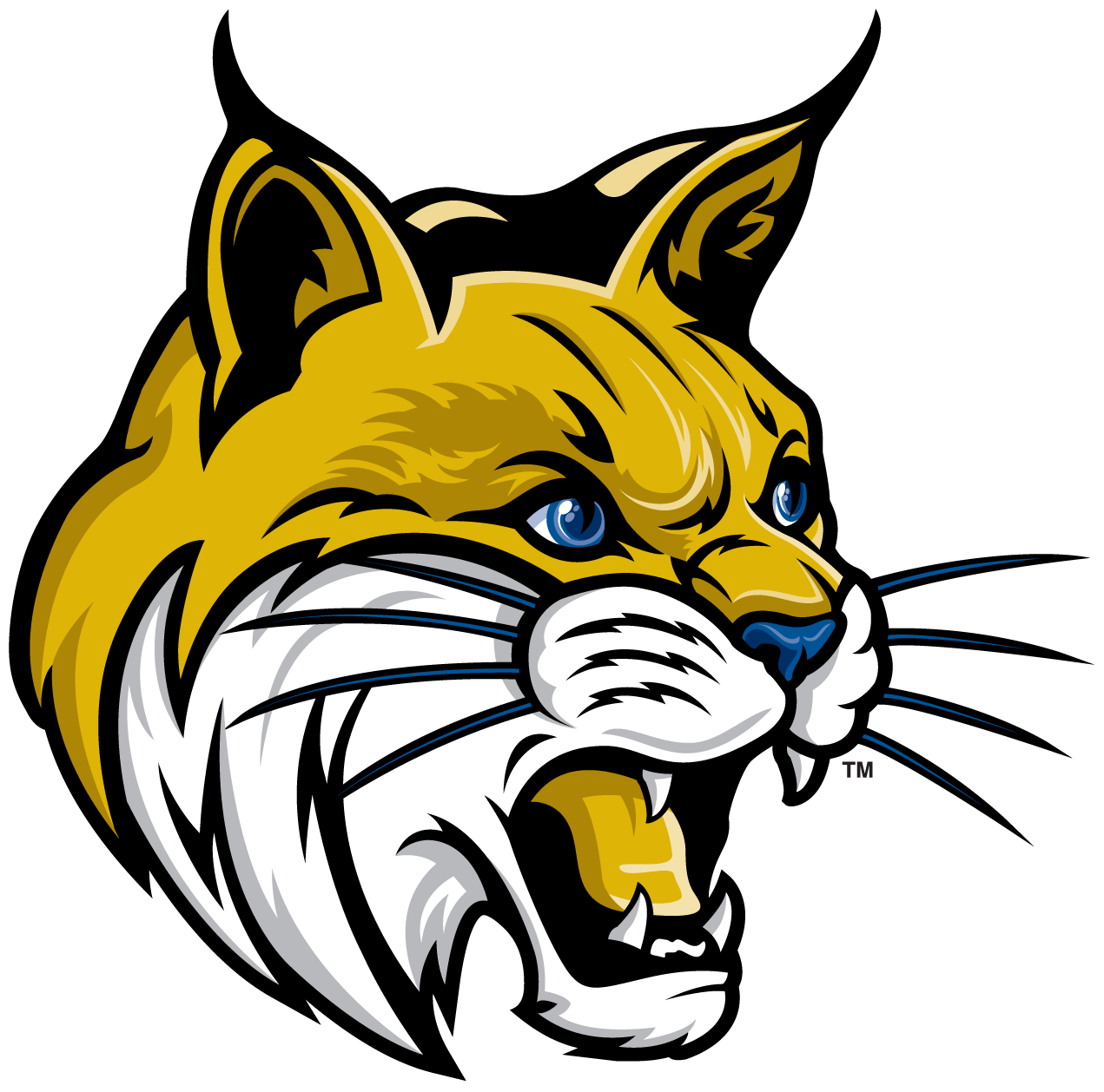 cougar clipart cat mascot