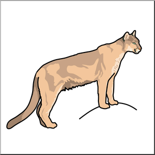 cougar clipart cata
