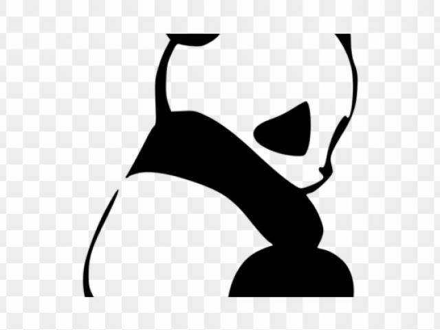 Free download clip art. Cougar clipart chatham