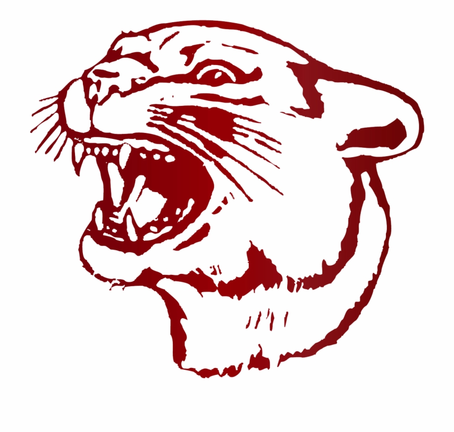 Cougar clipart chatham. Png south decatur high