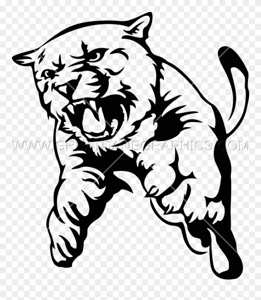 cougar clipart drawing
